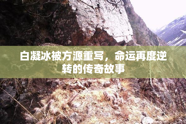 白凝冰被方源重写，命运再度逆转的传奇故事