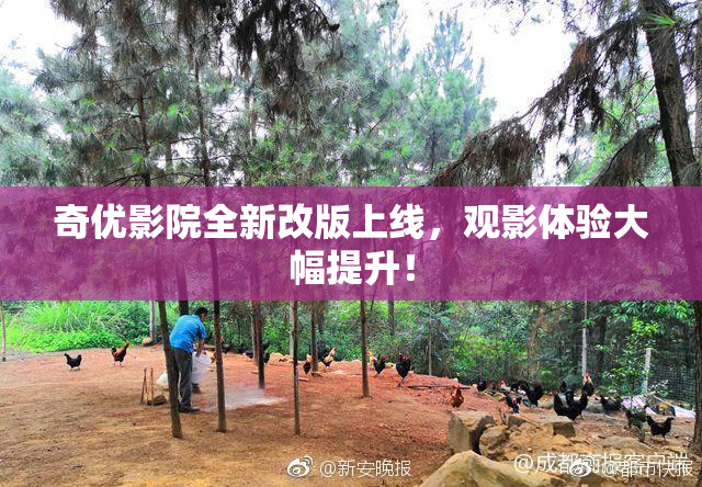 奇优影院全新改版上线，观影体验大幅提升！