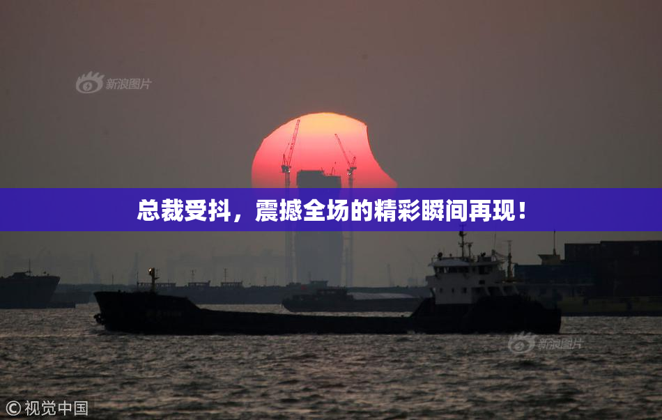总裁受抖，震撼全场的精彩瞬间再现！
