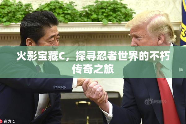 火影宝藏C，探寻忍者世界的不朽传奇之旅