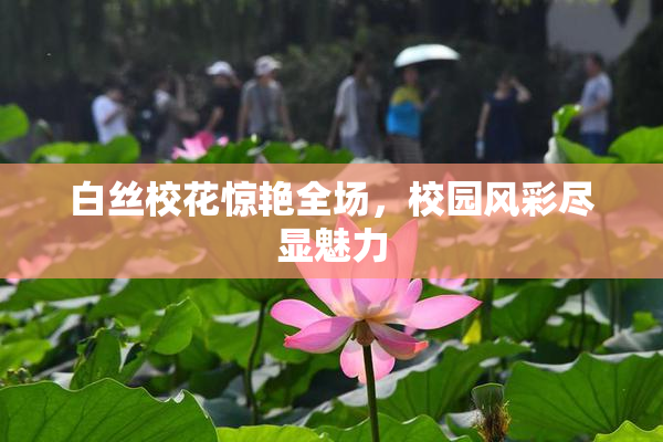 白丝校花惊艳全场，校园风彩尽显魅力