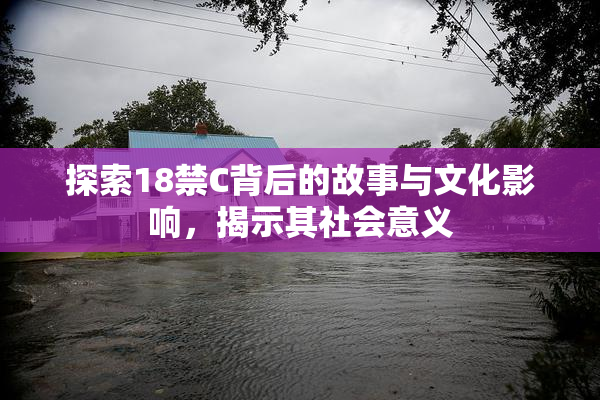 探索18禁C背后的故事与文化影响，揭示其社会意义