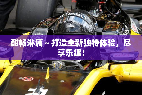 酣畅淋漓～打造全新独特体验，尽享乐趣！