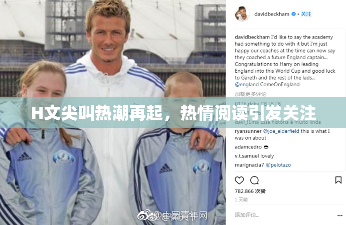 H文尖叫热潮再起，热情阅读引发关注