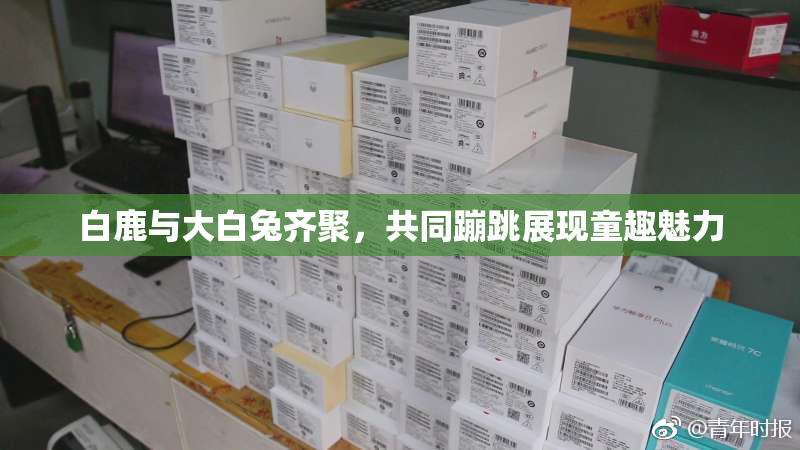 白鹿与大白兔齐聚，共同蹦跳展现童趣魅力