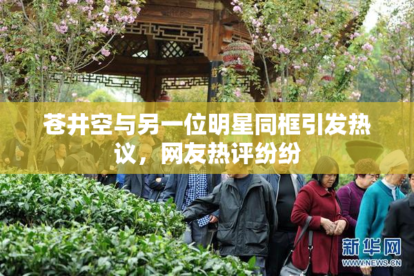 苍井空与另一位明星同框引发热议，网友热评纷纷