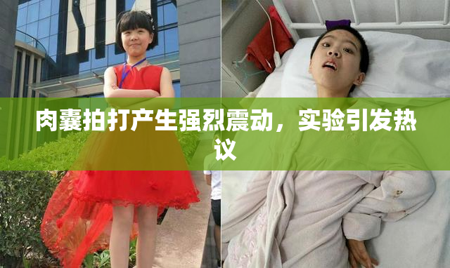 肉囊拍打产生强烈震动，实验引发热议