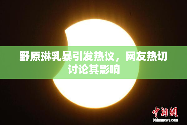 野原琳乳暴引发热议，网友热切讨论其影响