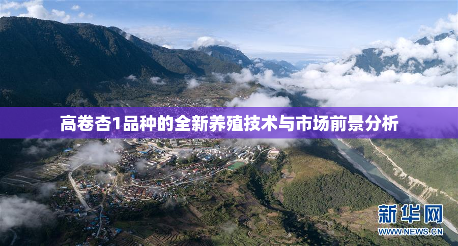 高卷杏1品种的全新养殖技术与市场前景分析