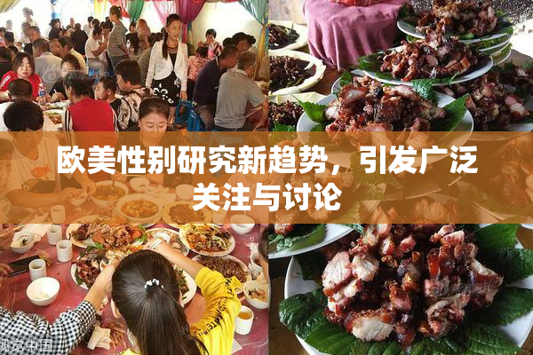 欧美性别研究新趋势，引发广泛关注与讨论