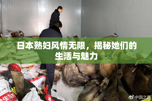 日本熟妇风情无限，揭秘她们的生活与魅力