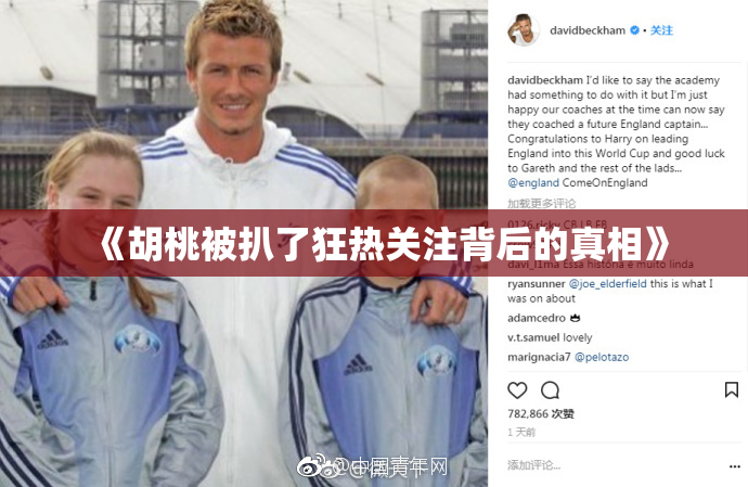 《胡桃被扒了狂热关注背后的真相》