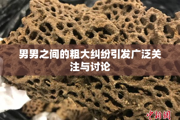 男男之间的粗大纠纷引发广泛关注与讨论