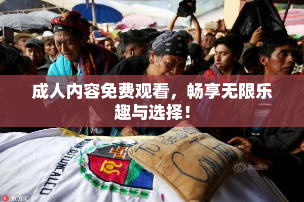 成人内容免费观看，畅享无限乐趣与选择！