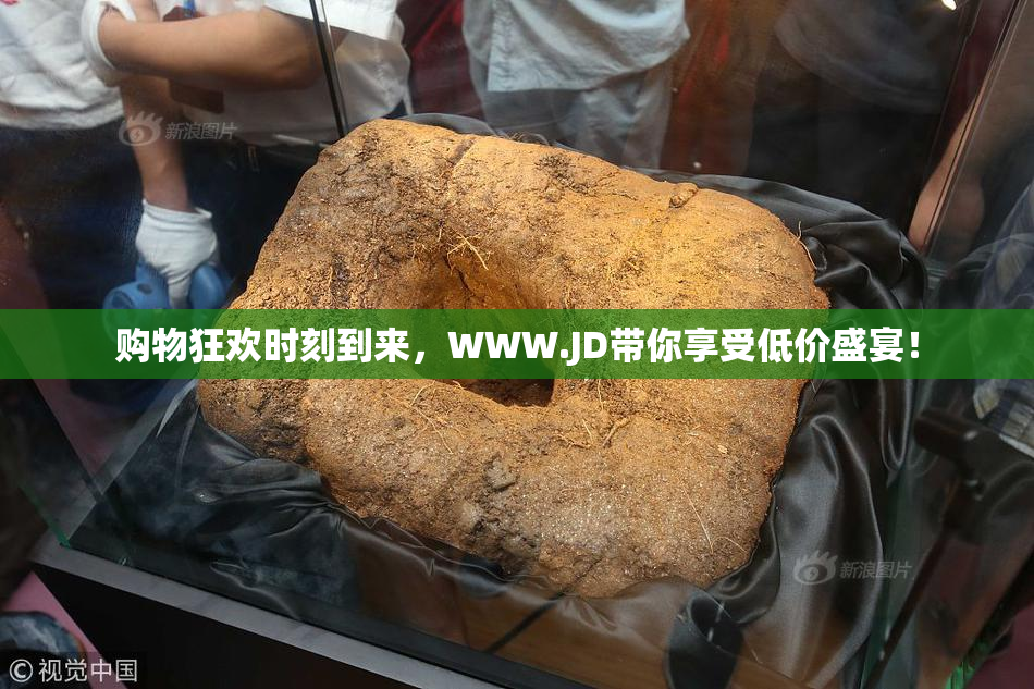 购物狂欢时刻到来，WWW.JD带你享受低价盛宴！