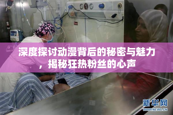 深度探讨动漫背后的秘密与魅力，揭秘狂热粉丝的心声