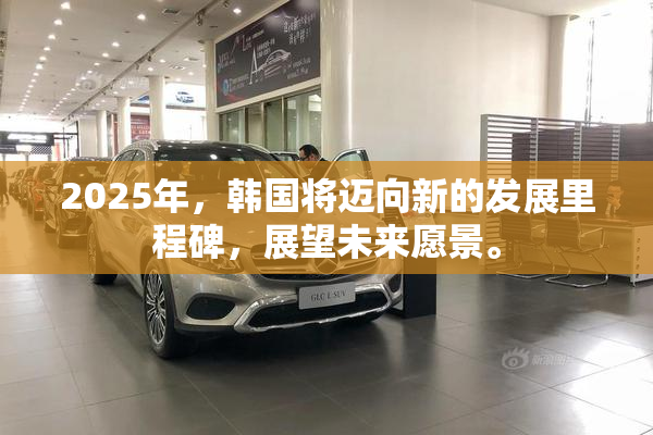 2025年，韩国将迈向新的发展里程碑，展望未来愿景。