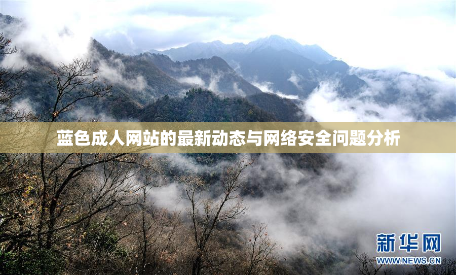蓝色成人网站的最新动态与网络安全问题分析