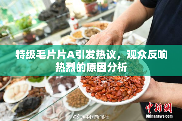 特级毛片片A引发热议，观众反响热烈的原因分析