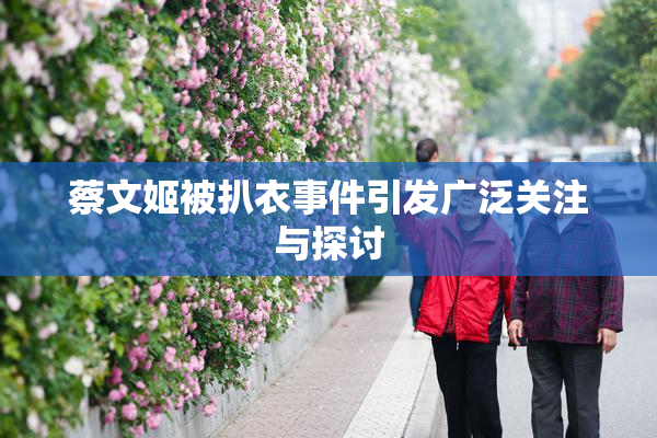 蔡文姬被扒衣事件引发广泛关注与探讨