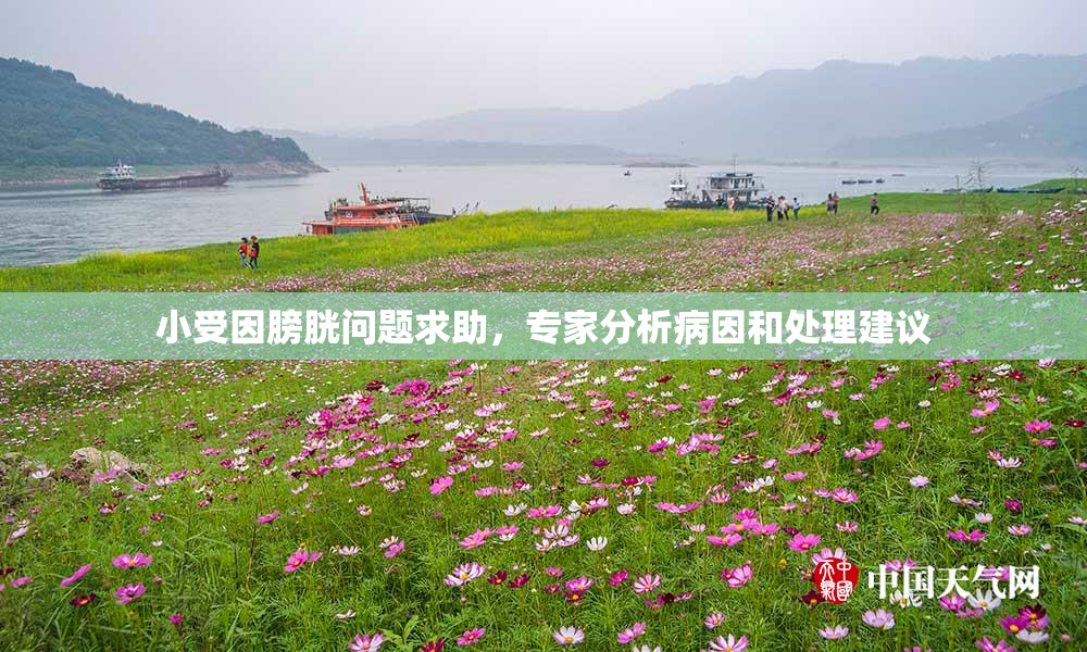 小受因膀胱问题求助，专家分析病因和处理建议