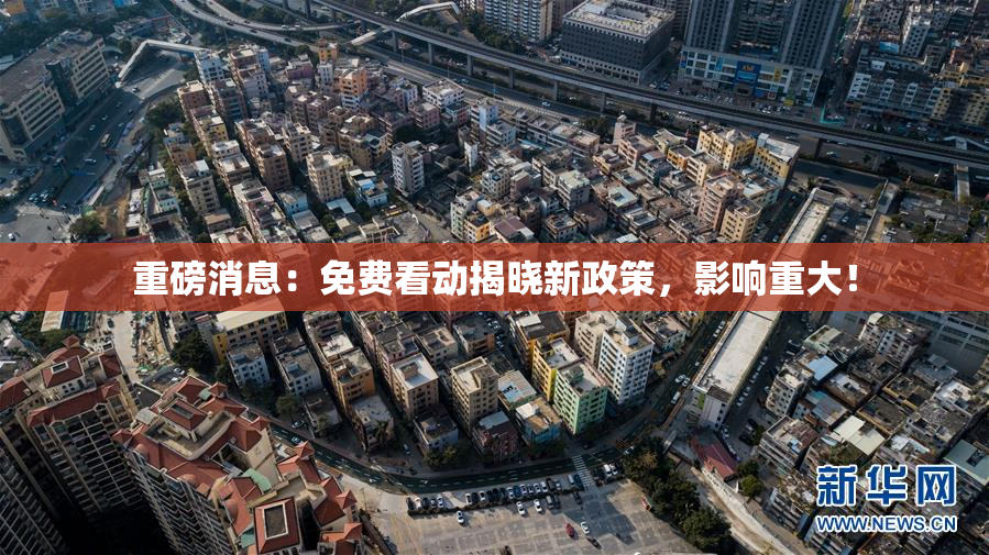 重磅消息：免费看动揭晓新政策，影响重大！
