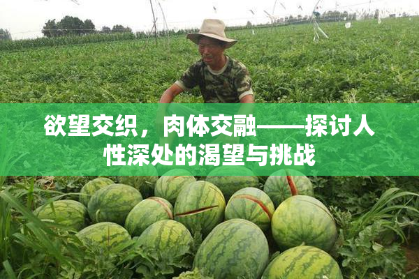 欲望交织，肉体交融——探讨人性深处的渴望与挑战
