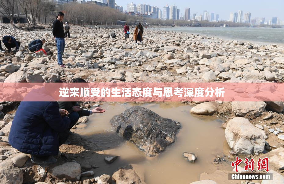 逆来顺受的生活态度与思考深度分析