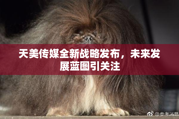天美传媒全新战略发布，未来发展蓝图引关注