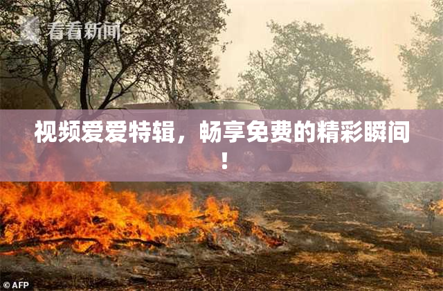 视频爱爱特辑，畅享免费的精彩瞬间！