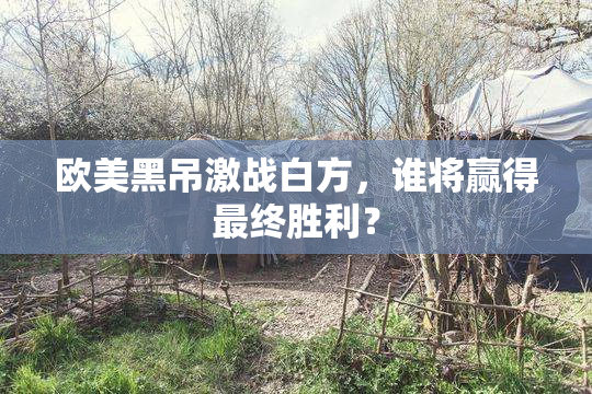 欧美黑吊激战白方，谁将赢得最终胜利？