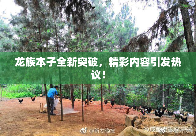 龙族本子全新突破，精彩内容引发热议！