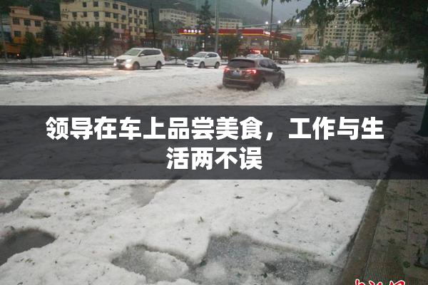领导在车上品尝美食，工作与生活两不误