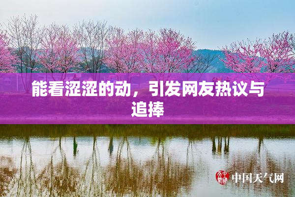 能看涩涩的动，引发网友热议与追捧