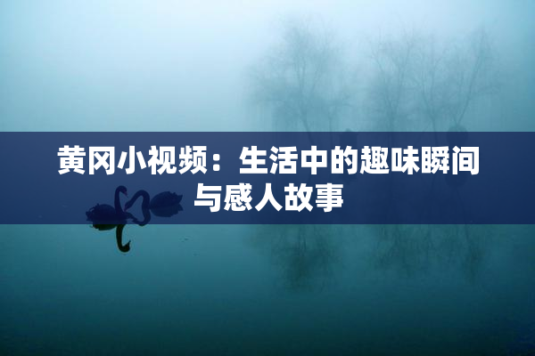 黄冈小视频：生活中的趣味瞬间与感人故事