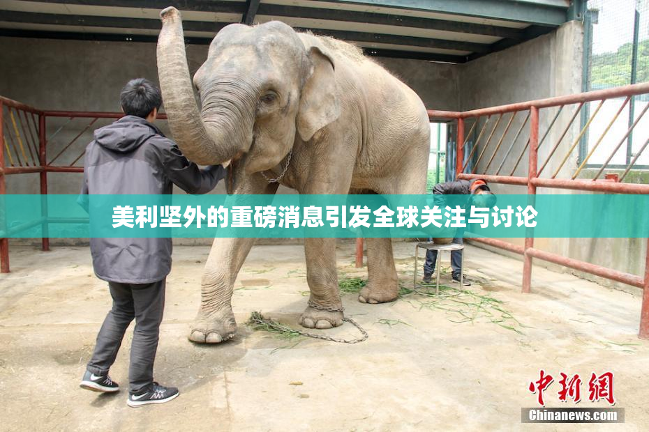 美利坚外的重磅消息引发全球关注与讨论