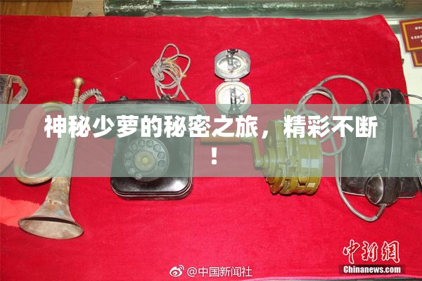 神秘少萝的秘密之旅，精彩不断！