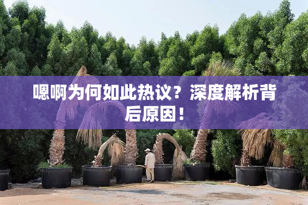 嗯啊为何如此热议？深度解析背后原因！