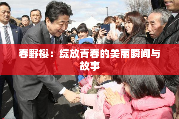 春野樱：绽放青春的美丽瞬间与故事