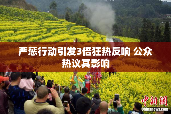 严惩行动引发3倍狂热反响 公众热议其影响