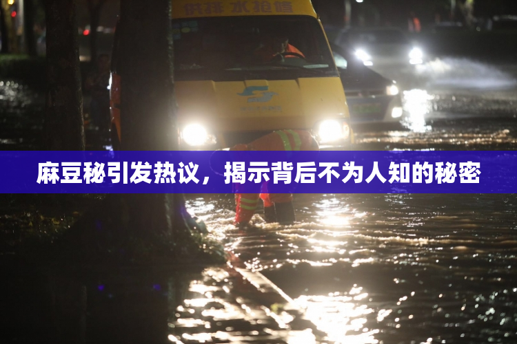麻豆秘引发热议，揭示背后不为人知的秘密