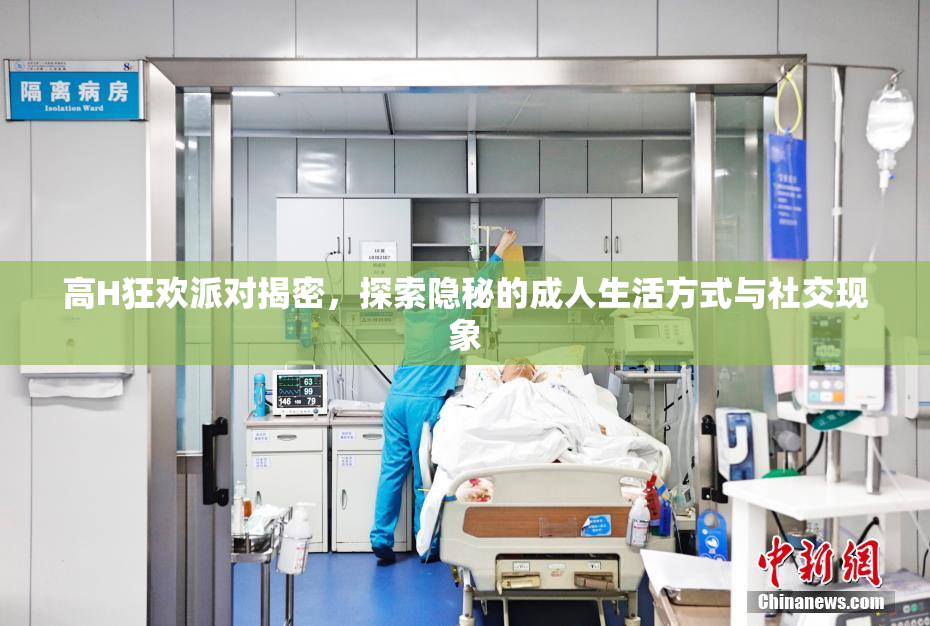 高H狂欢派对揭密，探索隐秘的成人生活方式与社交现象