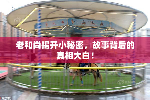 老和尚揭开小秘密，故事背后的真相大白！