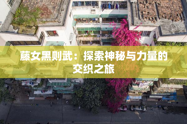 藤女黑则武：探索神秘与力量的交织之旅