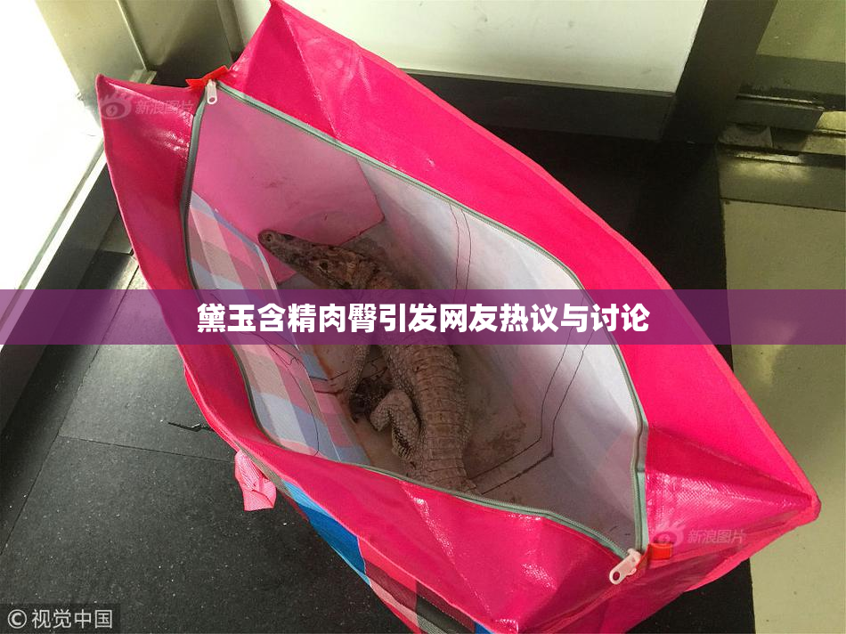 黛玉含精肉臀引发网友热议与讨论