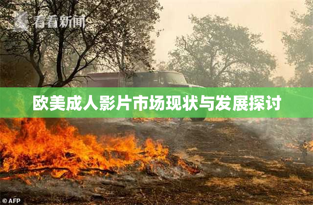 欧美成人影片市场现状与发展探讨