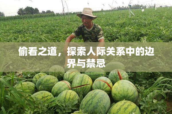 偷看之道，探索人际关系中的边界与禁忌