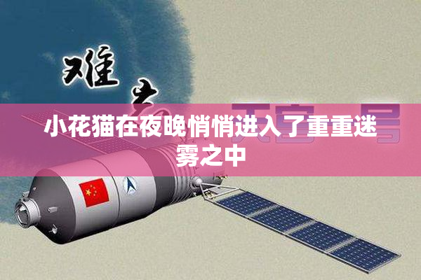 小花猫在夜晚悄悄进入了重重迷雾之中