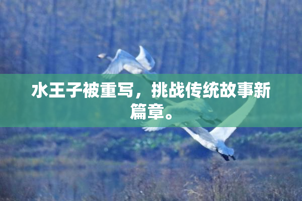 水王子被重写，挑战传统故事新篇章。