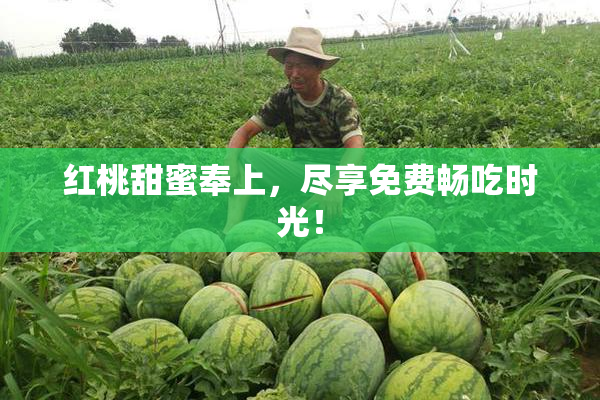 红桃甜蜜奉上，尽享免费畅吃时光！